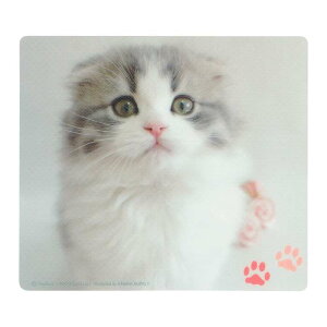 TTvC }EXpbhiXReBbVtH[hj MPD-215E