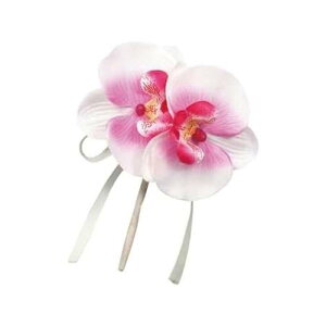 RT[W Ӓ sN  Ǝ  w Zj[ Cxg   A[ebN 85047