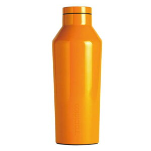 �X�e�����X�{�g�� 270ml ������ �ۗ�{�g�� �ۉ��{�g�� CORKCICLE DIPPED CANTEEN Clementine 9oz 270ml �I�����W �ۗ� �ۉ� �{�g�� ���� �ʋ� �ʊw ���W���[ �A�E�g�h�A ������� �v���[���g �M�t�g CORKCICLE 2