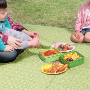 �y����E�����z���s�z�y����s�z�􂦂� PP�J�[�y�b�g �{��10�� ��477×382cm �A�E�g�h�A �y�b�g �C���e���A �t���A �J�[�y�b�g IKEHIKO BRC477382