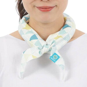 yoׁzBUGOFF COOLTIE N[^C gCAO t[TCY  ⊴ UVJbg S88×12cm SOPIC BO231 C