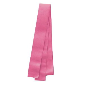 tBbg͂܂  10{g sN J[ n`}L z 40mm 1m ^ ̈ `[  A[ebN 18212