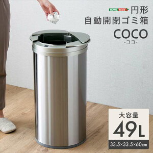 ykCEEzszysz~` JS~ 49L 66cm ӂJ ݔ z[eCXg COCO--SL