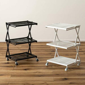 ykCEEzszysztH[fBObN 3i TChbN LX^[t Lb`S J LFS-56