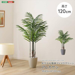 ykCEEzszyszȒPtFCNO[ AJV STCY 120cm ϗtA lH tFCN lHϗtA z[eCXg SH-06-ARE-S