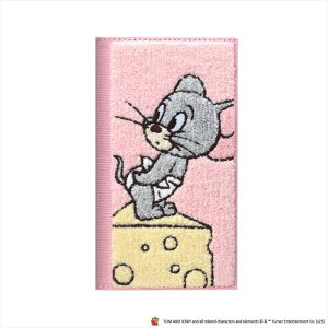 iPhone 16e P[X Jo[ NAtbvP[X ^tB[ 6.1inch 1Jp PGA PG-W25KCF03TUF