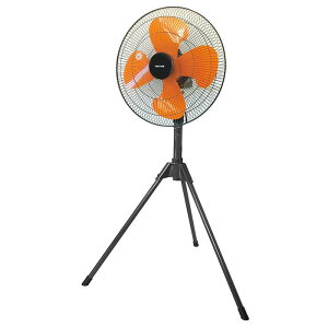 HƗp@ HIW 43.5cm X^h܂肽ݎ TEKNOS KG-459R