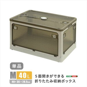 ykCEEzszysz5ʊJłI܂肽ݎ[{bNX MTCY i40Lj O[ oł Rei{bNX [ ֗ z[eCXg RGCB-