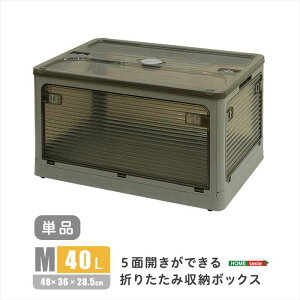 ykCEEzszysz5ʊJłI܂肽ݎ[{bNX MTCY i40Lj _[NO[ oł Rei{bNX [ ֗ z[eCX