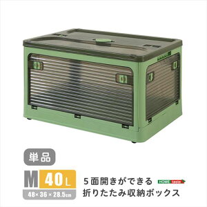 ykCEEzszysz5ʊJłI܂肽ݎ[{bNX MTCY i40Lj O[ oł Rei{bNX [ ֗ z[eCXg RG