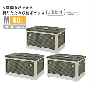 ykCEEzszysz5ʊJłI܂肽ݎ[{bNX MTCY i40Lj 3Zbg zCg oł Rei{bNX [ ֗ z[