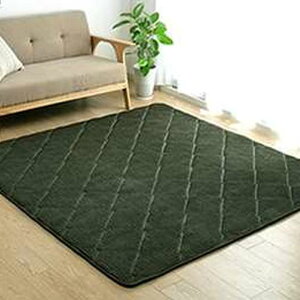 yEzszyszO ɌLgO R[fC 185×300cm 4 ɂ {[  ւɂ n g[ zbgJ[ybgΉ ~zcyO