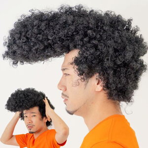 コスプレ 仮装 変装衣装 ウィッグ リーゼント コスプレ 仮装 変装衣装の人気商品 通販 価格比較 価格 Com