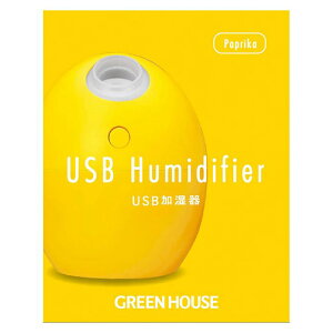 USB ܂^  g  p[\i ~Xg ItBX 킢  pvJ CG[ O[nEX GH-UMSEG-YE