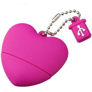 USBtbV 2GB Lbvz_[t n[g^ USB[ ^ y o[f 킢 RpNg ֗ rrbhsN O[nEX GH-UFD2GHTV