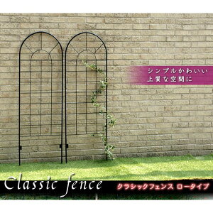 �y�k�C���E����E�����z���s�z�y����s�z�t�F���X �A�C�A���t�F���X120 4���g �K�[�f���t�F���X �t�����[�t�F���X ���[�Y�t�F���X �ډB�� �h�� �K�[�f�j���O DIY �u���b�N �Z�܂��X�^�C