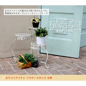 ykCEEzszyszzCgACAt[X^h ی^ ueB[N t[X^h t` AeB[NH  K[fjO  zCg 