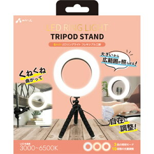 LEDOCg˂ˎOrtX^h 6inch GA[WFC SL-RTR2