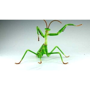 R23 ̕ IIJ}L mߋ vf ͌^ hsv ȒPg tW~͌^ 4968728171388