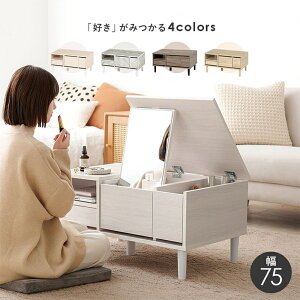 ykCEEzszyszRXe[u hbT[ 75cm CN e 4F HAGIHARA RD-1125