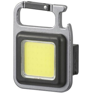 RpNgCOBCg [d 550[ OHM LH-CT55A5