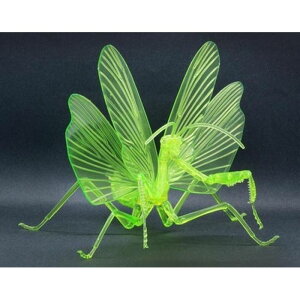 RV[Y No.23 ̕ IIJ}L ʎdl NA[O[ EX-2 tW~͌^ 4968728171067