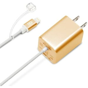 LightningRlN^AC[d^tP[u^Cv 2.1A S[h PGA PG-LAC21A23GD