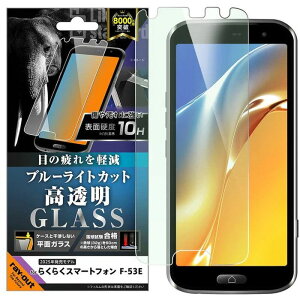 炭X}F-53E LSKXtBBLJbg򕽖ʕیdx10H CEAEg RT-FRS24F/SMG