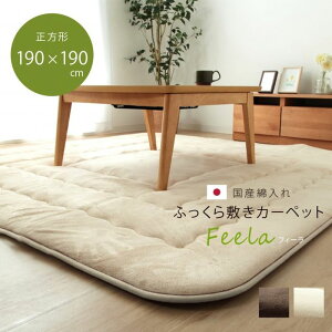 yEzszyszYŖ40mmgp }CNt@Co[n ӂ~ wtB[F~x uE 190×190cm IKEHIKO 1161700060809