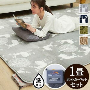 ホットカーペット本体 1畳」の人気商品一覧・価格比較 - 価格.com