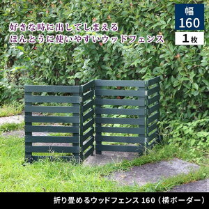 ykCEEzszysz܂߂EbhtFX 160({[_[) 1g _[NO[ Z܂X^C WF-160YK-DGN