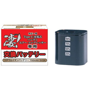 !zr[p Type C [dnfB GA[ RvbT[ pobe[ F 6972852115109