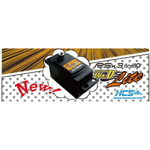 RSx3-one10 Ver.D Lite-R �ߓ��Ȋw�EKO 30136