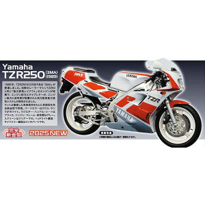 }n TZR250 (3MA) (1989) vf ͌^ zr[ nZK BK17