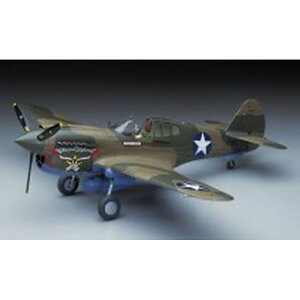 s@ 퓬@ vf AJR P-40E EH[z[N Warhawk 1/32 XP[ Lbg nZK ST29 nZK ST29