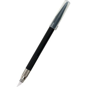 �K�C�A G-12 �}�C�N���Z���u���[�h �K�C�A�m�[�c 4571180800231