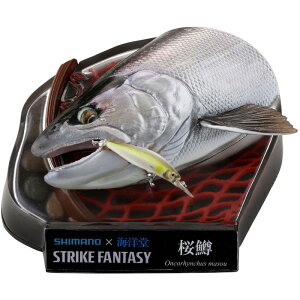 STRIKE FANTASY TN}X Cm KD069