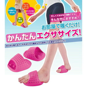 �G�N�T�T���_���@�s���N �Z�[�u�E�C���_�X�g���[ b580