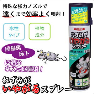 ˂݂₪Xv[ xmpbNX h864