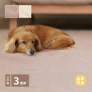 ykCEEzszyszJ[ybg ]ˊ3 174×261cm |vs100% ӂӂ _炩 JbgpC ʕsDz R hL zbgJ[ybgEg[Ή VG H