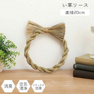 ysz[X ~  a20cm G C  L bNX AW CeA rO ǖ  EH[fR fBXvC  NX}X  ߓ IKEHIKO