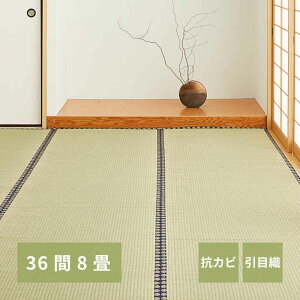 �y�k�C���E����E�����z���s�z�y����s�z�����J�[�y�b�g 36��8�� 364×364cm ��~�� �~�l ���ڐD �l���� �R�J�r ���L ���� ��C�� ��̓��Ă��≘��h�~�� �͗l�ւ� �������ȒP ���|��