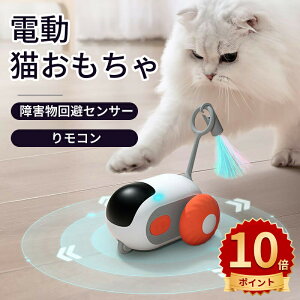 _10{|Cg^L d˂  2ނ̃f Rt QZT[ C^NeBu USB[d ȒP [Xs[h OȂ Ԃ ^s