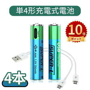 _10{|Cg^P4dr [d 4{Zbg 1500gp\ 750mWh 1.5Vo `ECI P4`[ddr }[d یHt GR AAAdr TYPE-C[dP[ut