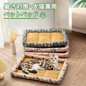 _10{|Cg^ybg}bg Ђ}bg ybgxbh ėp  L ЂV[g }bg ybgN[}bg ~pbh t NbV ybgpQ ėpN[}bg 