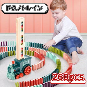 _10{|Cg^h~mgC h~m h~m  260PCS Iׂ h~m| h~m ubN ςݖ mߋ m炨 w ̎q j̎q q̓ q a