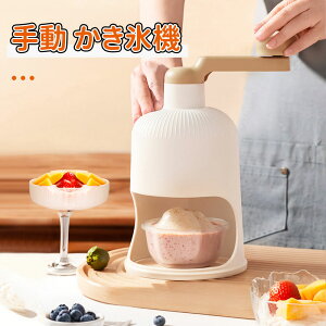 _10{|Cg^X 蓮 Ⓚt[c ACXuCN ACX  X@ ȒP X Xu[N JLX XJbvt ėp ƒp 蓮X[J[ X X@ 