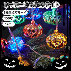 �_�X�[�p�[�Z�[���^�C���~�l�[�V�������C�g �n���E�B�� ���� �\�[���[�� �n���E�B�� ���� ���C�g 100LED/12m 8��ޓ_�����[�h �� ���� ���O �X�g�����O���C�g �n���E�B�� �H�� �J�{�`�� �]���r 