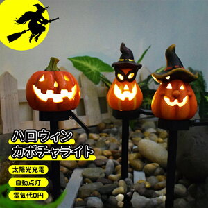 _10{|Cg^nEB  Cg ڂ K[fCg ڂ჉Cg nEB[ \[[Cg nEB XgOCg nEBt v ߍݎ 