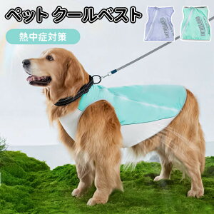 _10{|Cg^pN[xXg ybg  t p⊴xXg N[xXg ̕ ėp ЂxXg ⊴ pxXg ЂxXg bVn  pX[c ʋC M